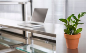 office plant benefits